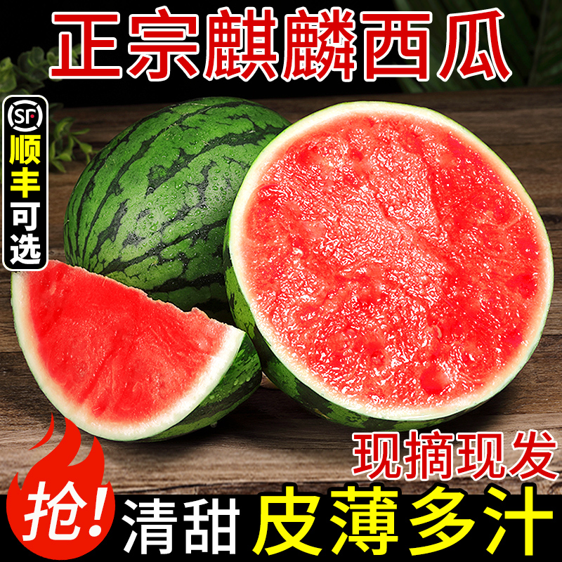 精品！头茬麒麟西瓜！个大饱满