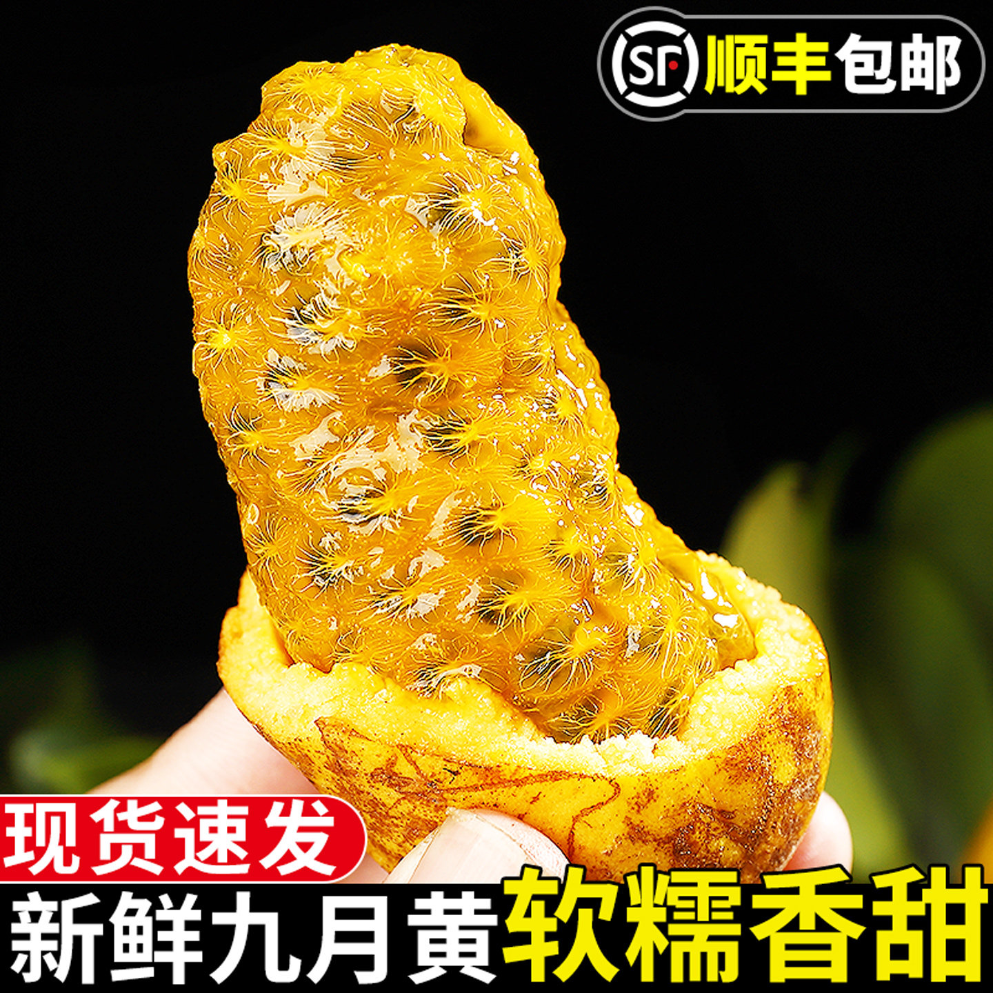 【珍稀水果】现摘!新鲜九月黄!