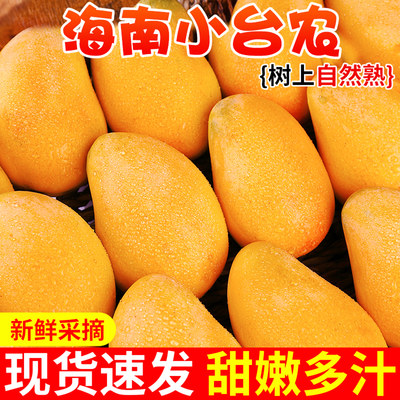【自然熟】海南小台农！皮薄肉厚