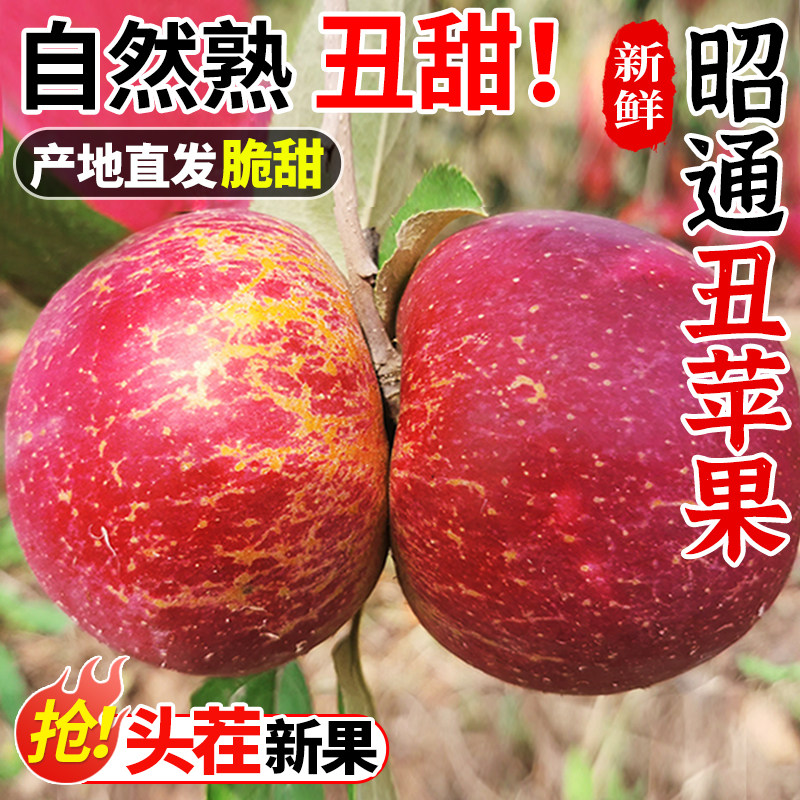 云南昭通丑苹果10斤冰糖心新鲜水果当季整箱红富士大凉山苹果包邮怎么样,好用不?