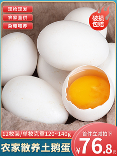 正宗土鹅蛋新鲜农家散养鹅蛋双黄大鹅蛋孕妇特大12个装 120克 包邮