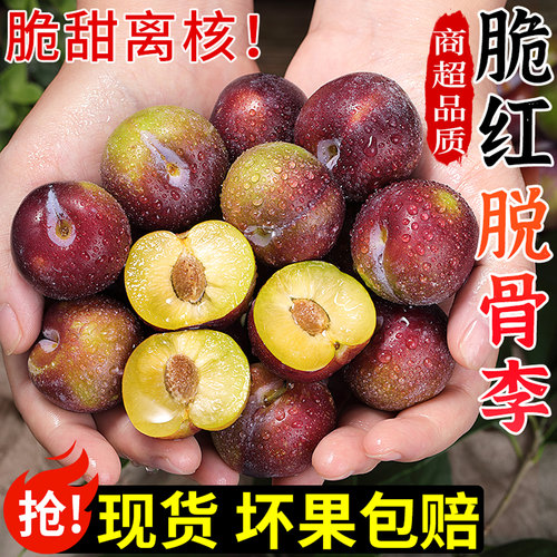现摘现发！五月脆李！脆甜脱骨！
