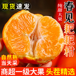 四川春见耙耙柑新鲜水果当季整箱正宗橘子丑柑橘粑粑柑桔大果包邮