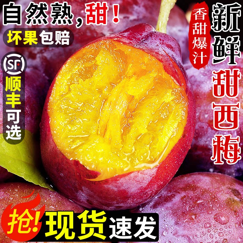 现摘自然熟!新鲜甜西梅!香甜