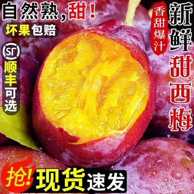 现摘自然熟！新鲜甜西梅！香甜