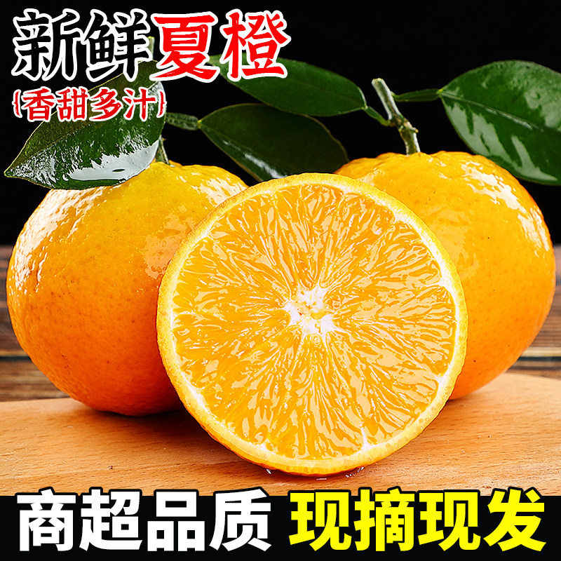 新鲜夏橙当季时令水果现摘整箱果冻橙手剥冰糖甜橙子大果正宗包邮