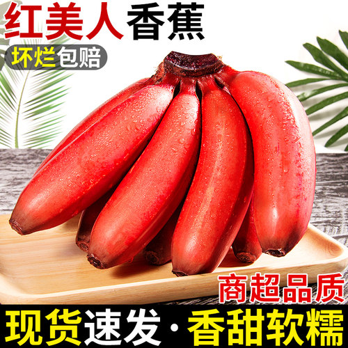 果园现摘！红美人香蕉！软糯香甜