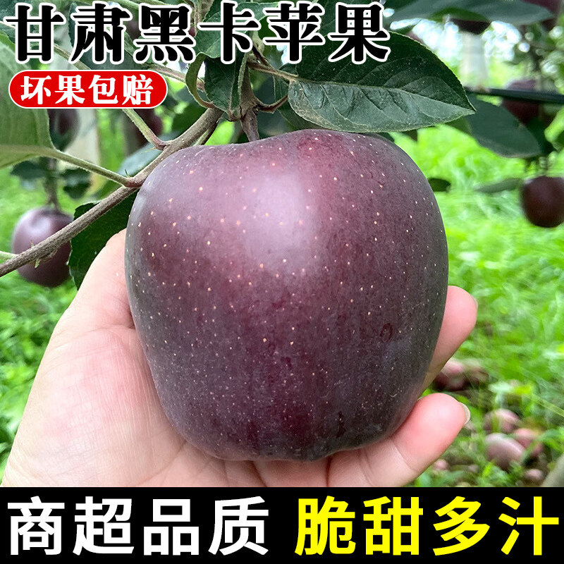 甘肃黑卡苹果正宗黑钻苹果应当季新鲜水果现摘冰糖心脆面苹果整箱