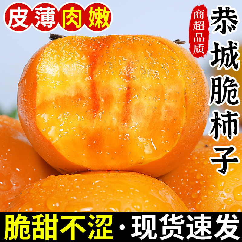 现摘正宗恭城脆柿子丨脆甜不涩！