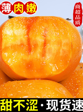 正宗广西恭城脆柿子新鲜水果当季脆甜硬柿子火晶黄甜柿子整箱包邮