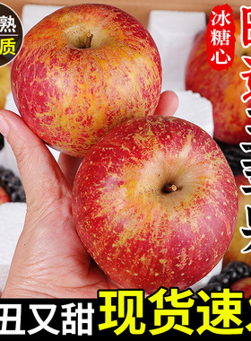 正宗云南昭通丑苹果冰糖心应当季现摘脆甜红富士新鲜水果整箱包邮
