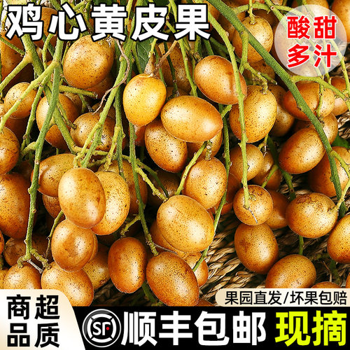 【酸甜多汁】广东鸡心黄皮果！