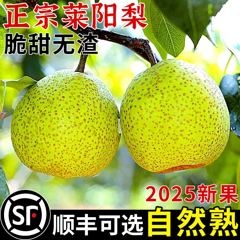 正宗山东莱阳梨新鲜梨子水果当季现摘酥脆蜜梨秋月梨特产整箱包邮,水产肉类/新鲜蔬果/熟食,梨,淘宝优惠券,粉丝福利购,淘宝优惠卷