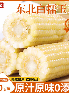 东北白糯玉米10根真空装现摘香甜软糯玉米棒早餐代餐苞米大棒包邮