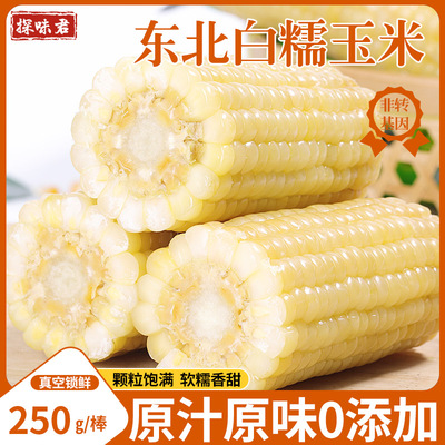 早餐代餐粗粮！东北白糯玉米！