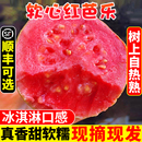 广西软糯红心芭乐5斤新鲜水果番石榴脆甜软糯胭脂红巴乐整箱 包邮