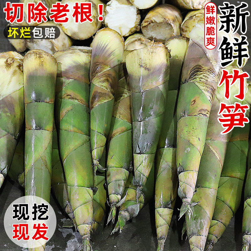 广西新鲜现挖竹笋嫩脆笋农家绿皮笋当季大头雷笋可泡酸笋特产包邮