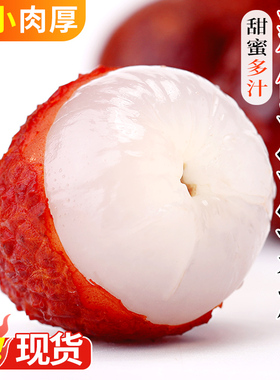 冰冻鲜荔枝5斤老树大果当季黑叶荔枝白糖妃子荔枝笑新鲜水果整箱3