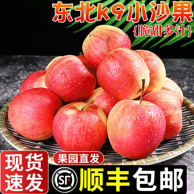 顺丰速发!正宗东北k9小沙果!