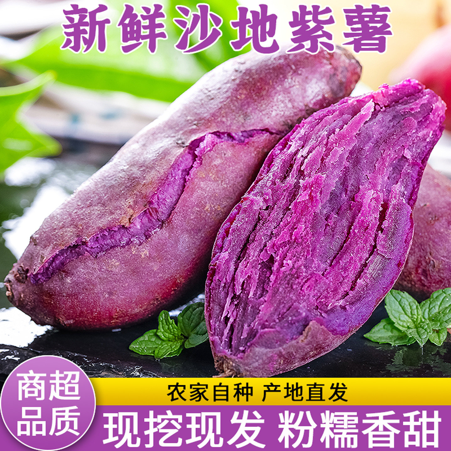 新鲜现挖!沙地紫薯!香甜粉糯!