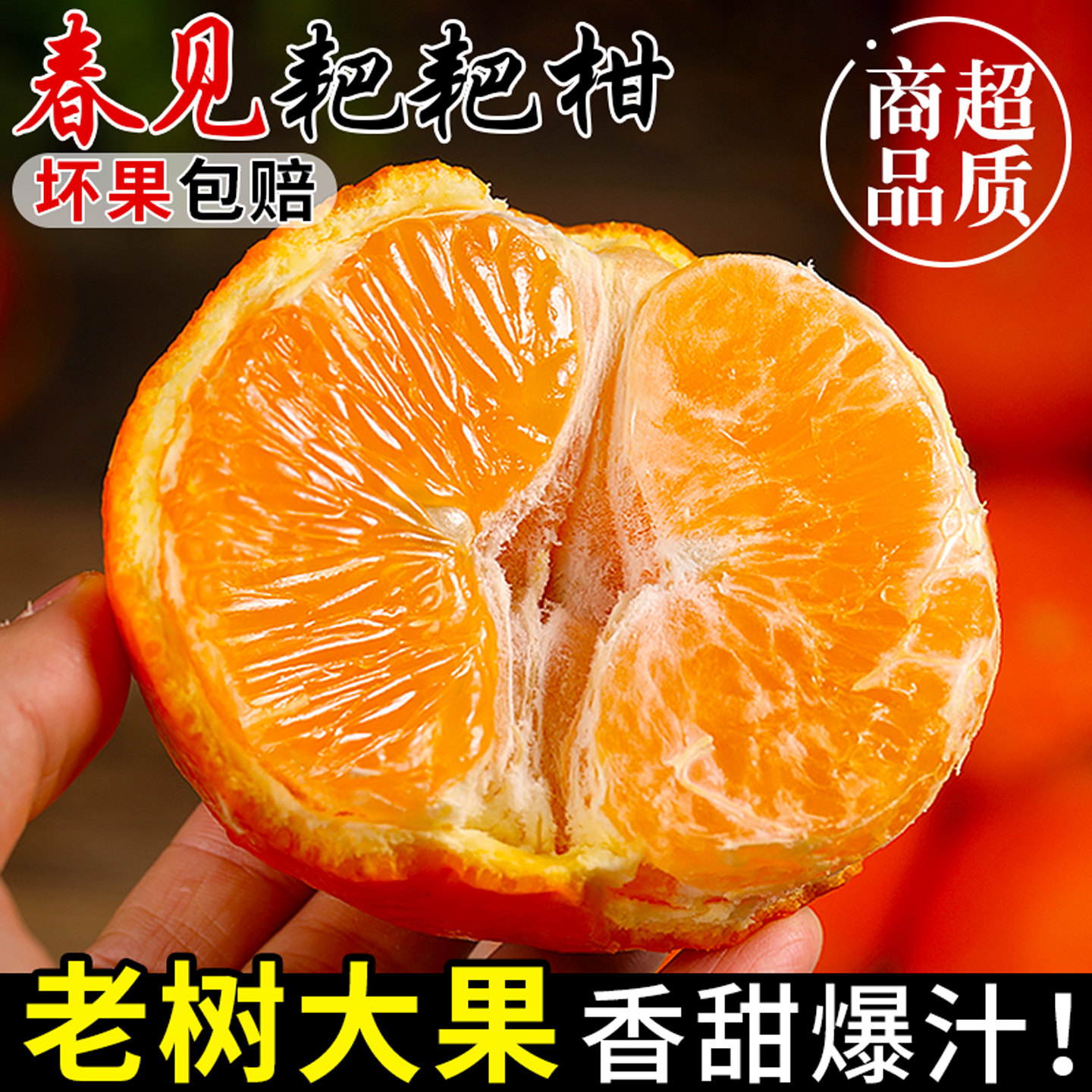 精选丨正宗春见耙耙柑丨香甜多汁