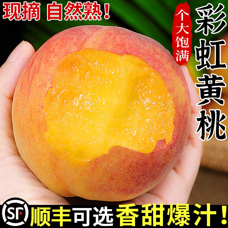 彩虹黄桃新鲜桃子5斤当季水果现摘脆甜黄金蜜桃黄肉毛桃大果包邮3