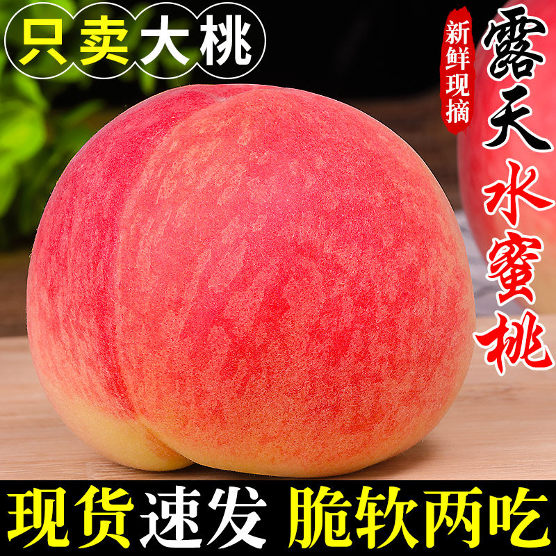 新鲜露天水蜜桃当季现摘毛桃子时令水果脆甜春雪蜜桃大果孕妇整箱