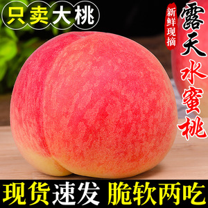 新鲜露天水蜜桃当季现摘毛桃子时令水果脆甜春雪蜜桃大果孕妇整箱