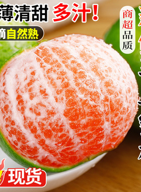 正宗寻乌蜜桔青皮橘子新鲜水果当季早熟皮薄无籽青桔时令大果包邮