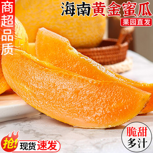 海南黄金蜜瓜哈密瓜新鲜水果当季网纹瓜黄河蜜瓜脆甜香瓜现摘整箱