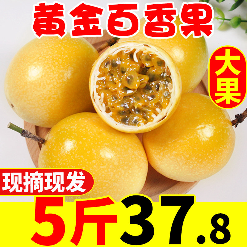 广西黄金百香果5斤特产一级大果新鲜当季水果10黄百香果纯甜包邮