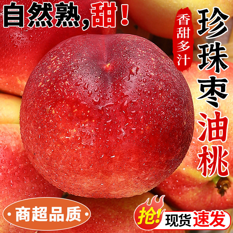 正宗珍珠枣油桃新鲜桃子水果当季现摘白肉红皮脆甜桃子水密桃整箱