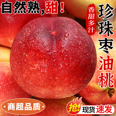 果园现摘！正宗珍珠枣油桃！脆甜
