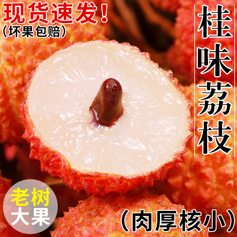 商超品质丨正宗桂味荔枝丨自然熟