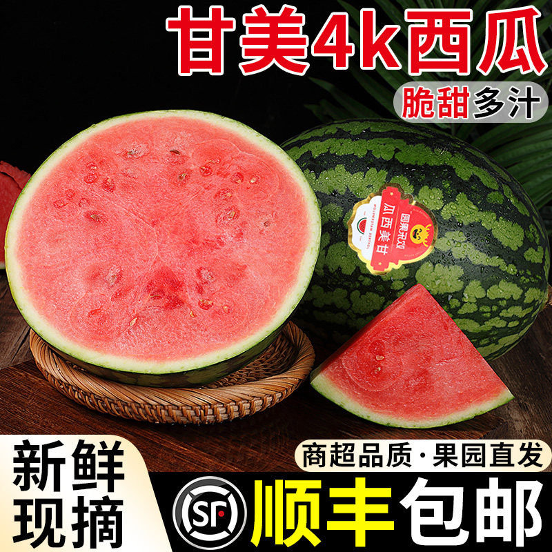 正宗甘美4K西瓜新鲜水果整个大西瓜现摘薄皮脆甜多汁当季顺丰包邮