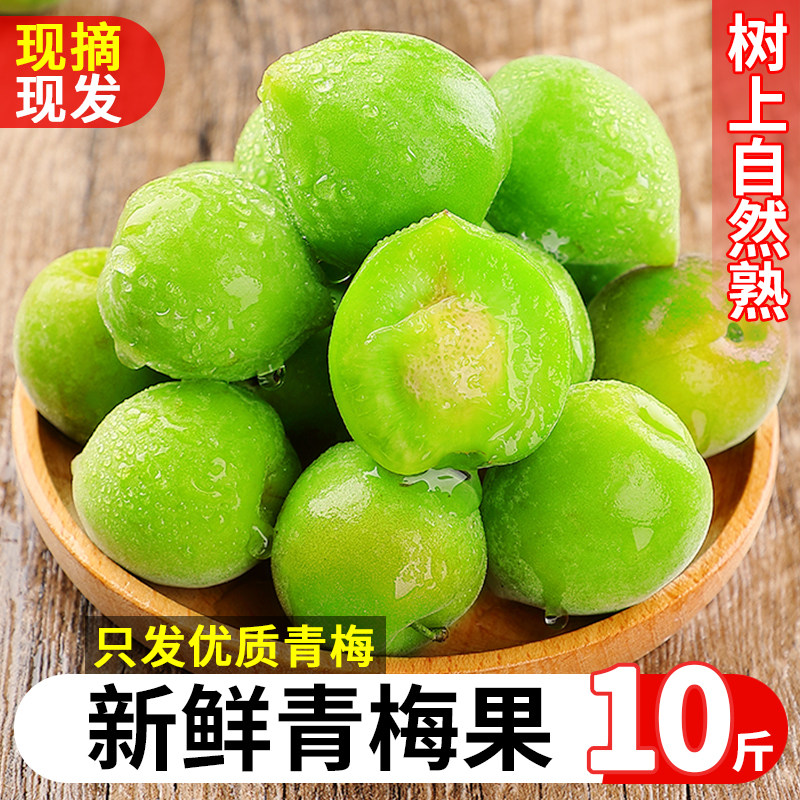 新鲜青梅鲜果10斤当季现摘高山青皮梅子泡酒专用生酸脆梅水果包邮