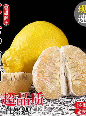 正宗广西容县沙田柚12斤蜜柚当季新鲜水果现摘白肉小金礼盒整箱