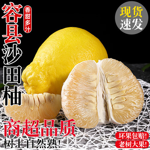 商超品质丨容县沙田柚丨精选大果