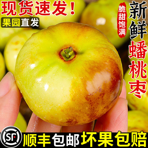 严选品质丨云南蟠桃枣丨脆甜爽口
