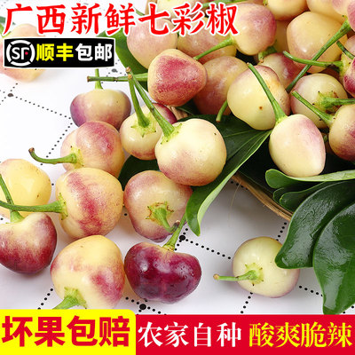 农家自种！七彩辣椒！香辣脆爽
