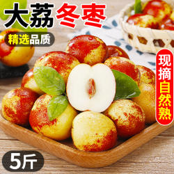 陕西大荔冬枣鲜枣当季新鲜水果正宗脆甜青枣冬枣现摘大枣包邮整箱