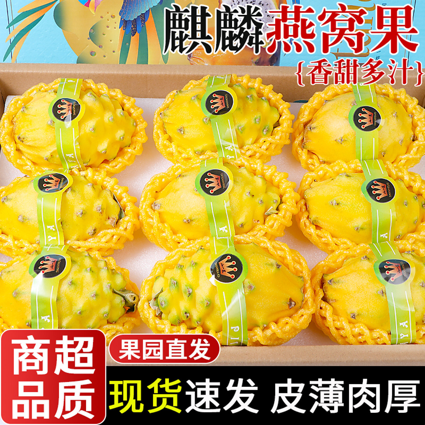 【现摘现发】海南燕窝果！精选