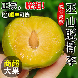重庆巫山脆李脱骨李子5斤新鲜水果当季脆甜蜂糖青脆冰糖李子整箱3
