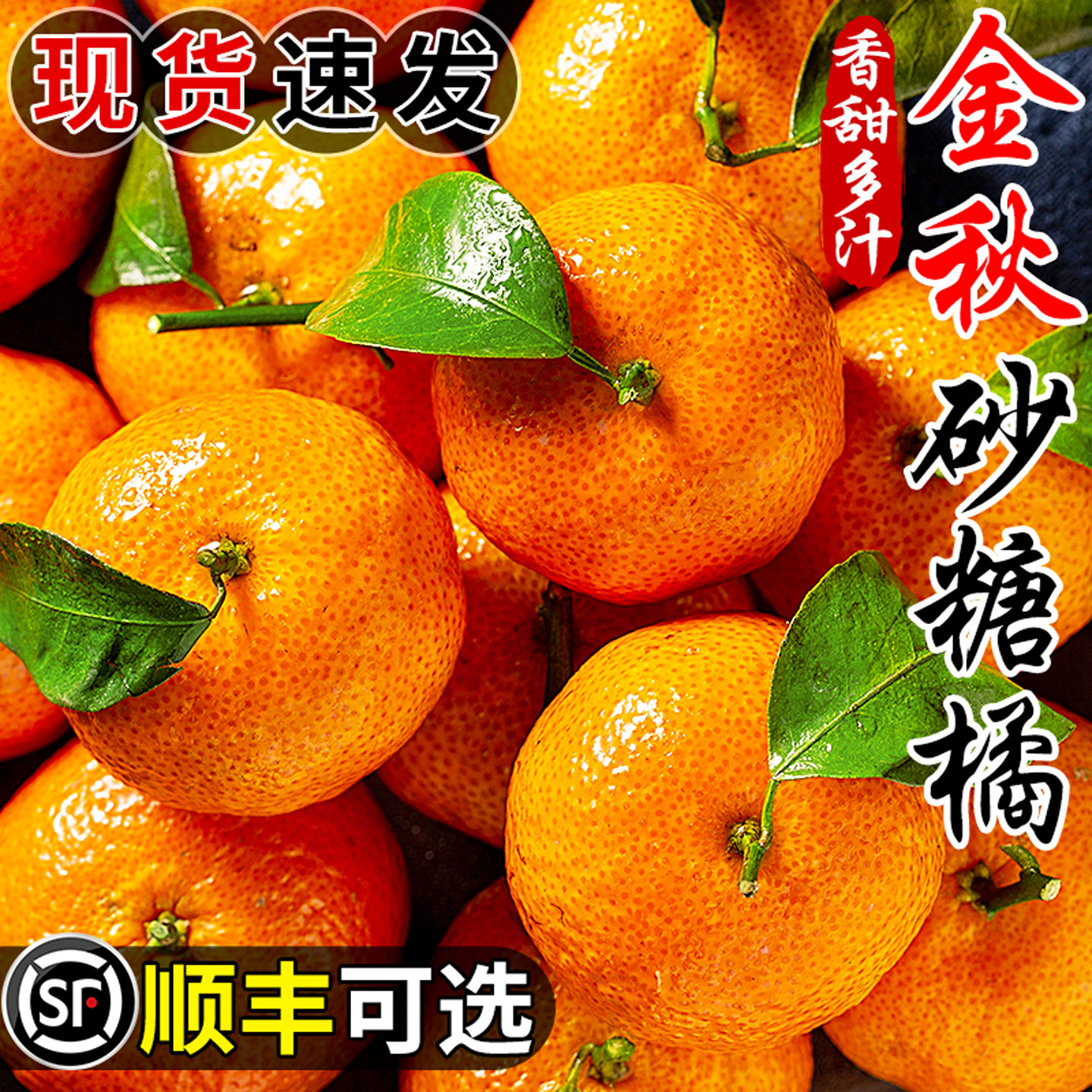 正宗金秋砂糖橘小桔子新鲜水果当季现摘薄皮无籽柑橘蜜桔整箱包邮