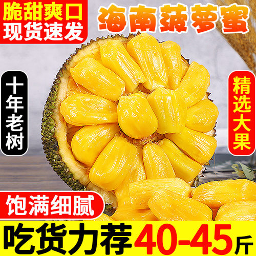 出肉率高!正宗海南菠萝蜜!香甜