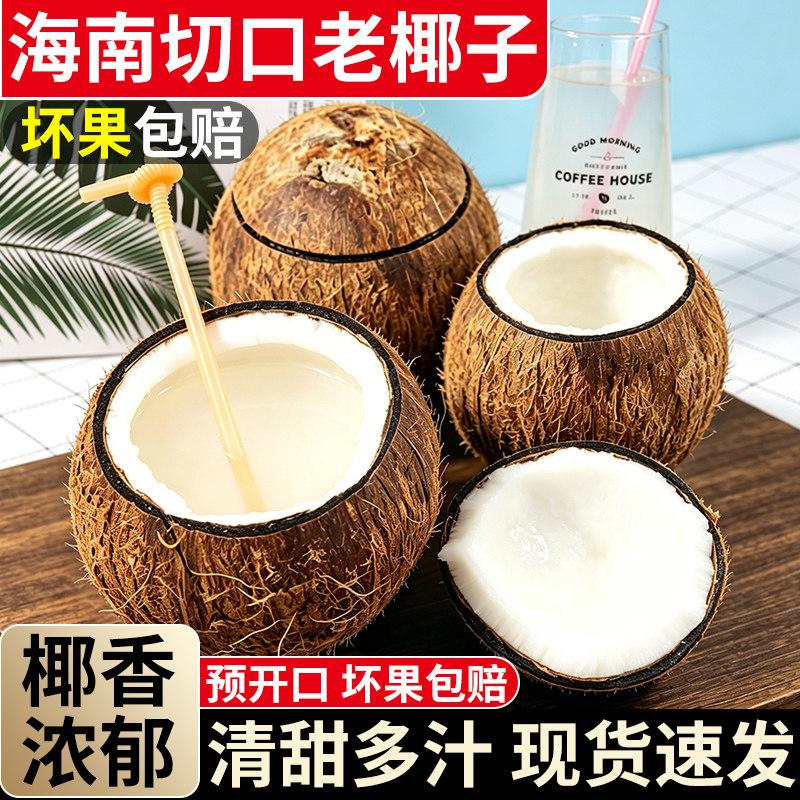 【精选品质】海南切口老椰子！