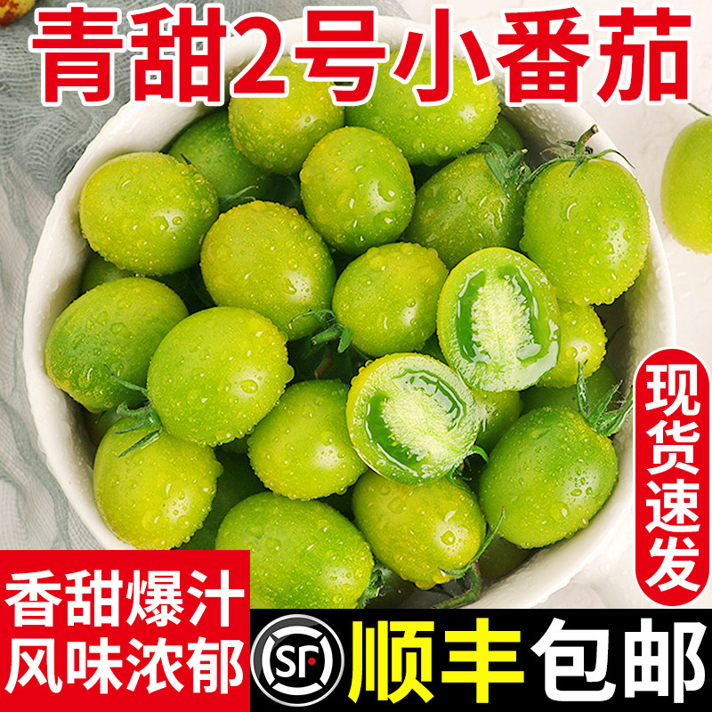 顺丰正宗青甜2号小番茄当季新鲜水果即食青口西红柿蔬菜现摘现发
