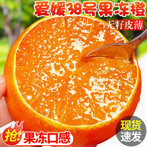 正宗爱媛38号果冻橙！皮薄无籽！
