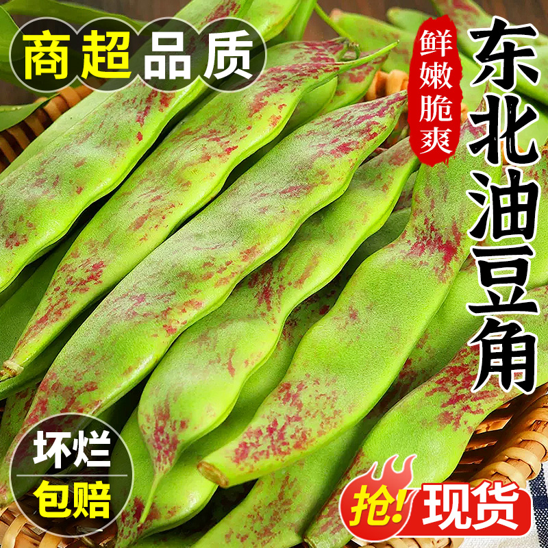 正宗东北油豆角！农家现摘现发！