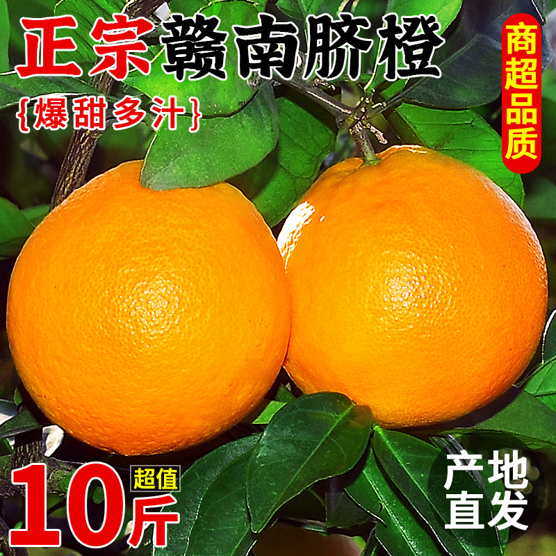 正宗赣南脐橙10斤新鲜橙子水果现摘江西赣州果冻橙冰糖甜橙大果